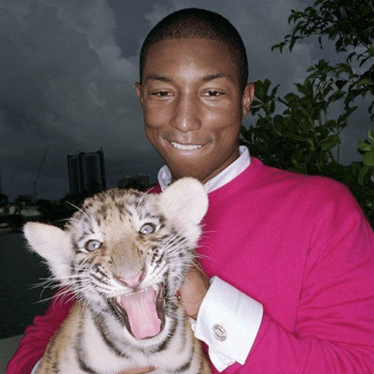 Cover art for catch up