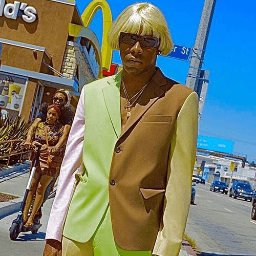 Cover art for french bulldog