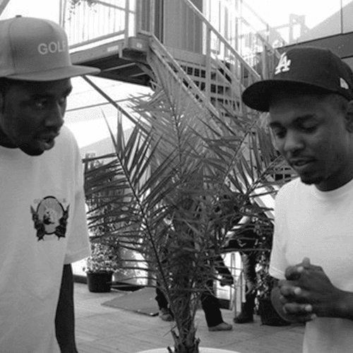 Cover art for le fleur