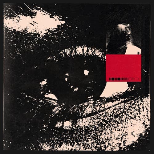 Cover art for pat down