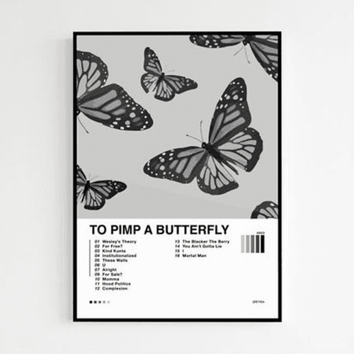 Cover art for raider